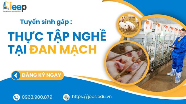 Thực tập nghê đan mạch.jpg